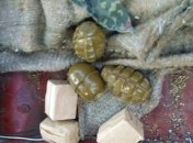 Задержан волонтер, который перевозил боеприпасы