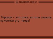 Прекрасного вам вечера: уморительные шутки для хорошего настроения