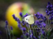 Разобрались, кого поздравляем с Днем ангела 8 июня