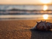 Курортный сезон не за горами: Одесская область ждет до 5 миллионов туристов