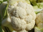 Медики назвали 5 полезных продуктов для почек