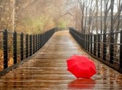 Прогноз погоды на 10 декабря: ожидается дождь и мокрый снег 