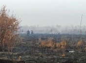 На Черниговщине вторую неделю горят торфяники