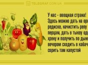 Только позитив и отличное настроение: вечерние анекдоты 23 декабря