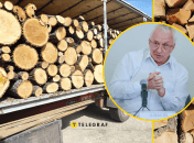 "Теоретично правильний, але…": нардеп розкритикував закон про дрова