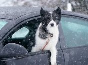 В Україні потеплішає