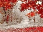 Погода в Украине 17 ноября: на западе страны ожидается мокрый снег