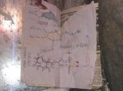 У киевлянина изъяли наркотиков на полмиллиона гривен