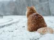 На яку погоду очікувати жителям України у лютому