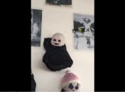 Декорации к Хэллоуину