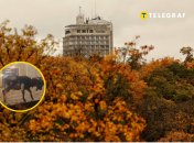 Осінній Київ