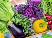 ТОП-6 продуктов питания для улучшения зрения