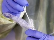 ПЦР-тест можно сделать дома бесплатно: как проверяют на коронавирус в США