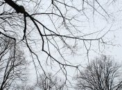 Погода в Украине на 10 февраля: холодно, без осадков