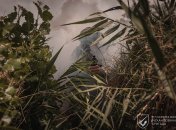 В мире могут возникнуть новые пламя войны