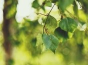 Погода в Украине 4 августа: солнечно, без осадков 