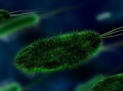 Вчені відправили на МКС 18 штамів бактерій