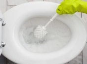 Не нужно прибегать к помощи профессионала, чтобы прочистить унитаз
