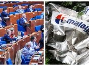 ПАСЕ утвердила резолюцию по сбитому над Украиной Boeing