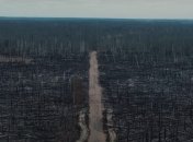 "Апокалипсис": последствия пожаров под Чернобылем сняли с дрона (Видео)