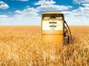 Украина будет широко использовать возобновляемые источники энергии