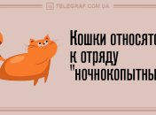 Беспредельный юмор: вечерние анекдоты 12 февраля