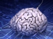 Эксперты создали интерфейс для подключения мозга человека к интернету