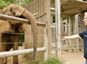 В зоопарке Мемфиса умерла самая старая слониха в Северной Америке 