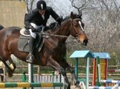 Школу детского конного спорта передали в частную собственность