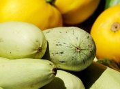 Кабачки: веские причины полюбить этот овощ