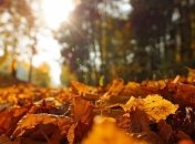 Прогреет до +26°: чем удивит прогноз погоды в Украине