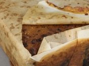 В Антарктике обнаружили странную находку