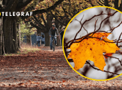 В Україні потеплішає після переходу на зимовий час: яким областям чекати до +18