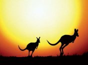 Кенгуру, коалы и Барьерный риф