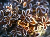 Прогноз погоды на 16 октября: ласковое солнце и комфортная температура днем