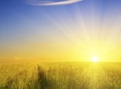 Прогноз погоды в Украине на 11 августа: аномальная жара до +34