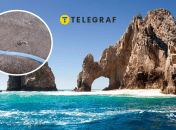 Сельдяной король