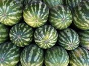 Арбуз способен нормализовать давление