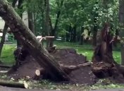 На Москву надвигается новый сильный ураган