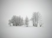 11 февраля. Приметы дня