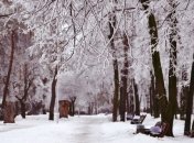 Погода в Украине 22 января: пасмурно, без осадков