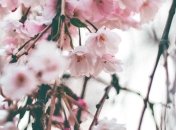 Какой праздник 24 марта: народные приметы и запреты 