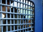 Убийцы Оксаны Макар отправлены по этапу  