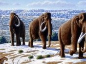 Ученые хотят воссоздать генетический материал для клонирования мамонта
