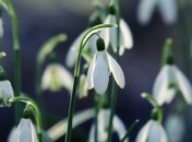 Какой праздник 20 марта: народные приметы и запреты