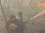 Сколько пожаров зафиксировали за сутки на Киевщине