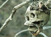 Найдены свидетельства самой древней битвы в человеческой истории  