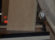 Перестрелка в Луцке: Полиция рассматривает версию о бандитских разборках