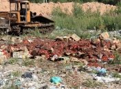 В РФ за год уничтожили почти 8 тысяч тонн санкционных продуктов