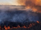 На Киевщине обнаружили еще один масштабный пожар, горит сухая трава (Видео)